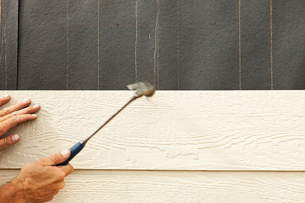 Best Stone Veneer Siding  in Doraville, GA